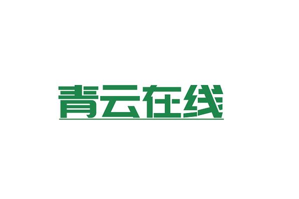 开发;大数据服务;数据处理服务;软件外包服务;网络与信息安全软件开发
