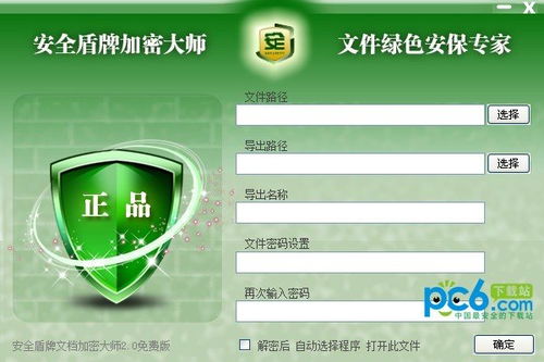 安全盾牌加密大师 构筑网络与信息安全软件开发的坚固防线