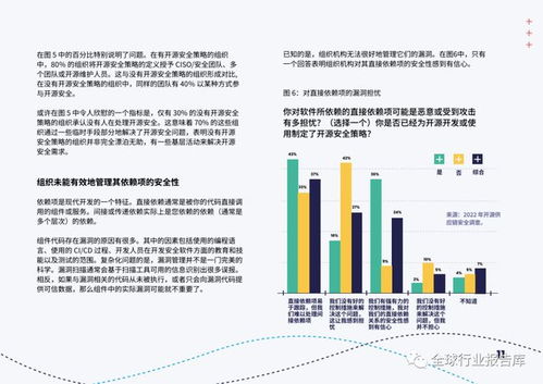 开源软件安全 应对网络安全挑战的开发实践与策略